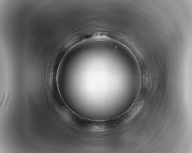 X0000087640263200705101053