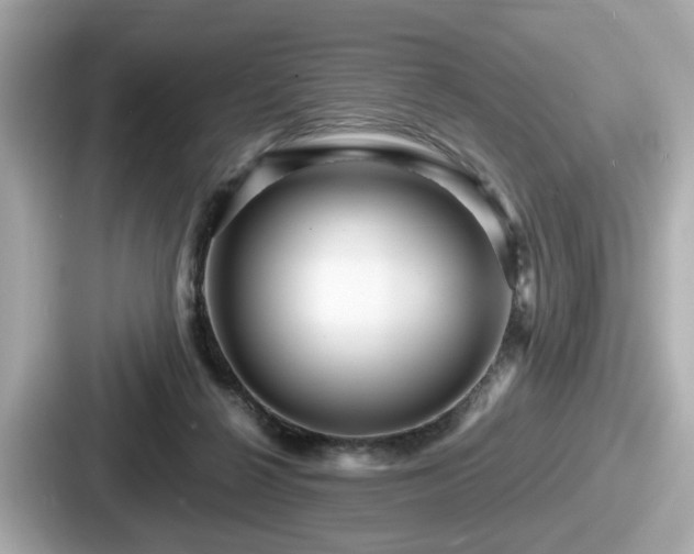 X0000087640264200705101053