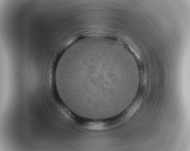 X0000087640266200705101053