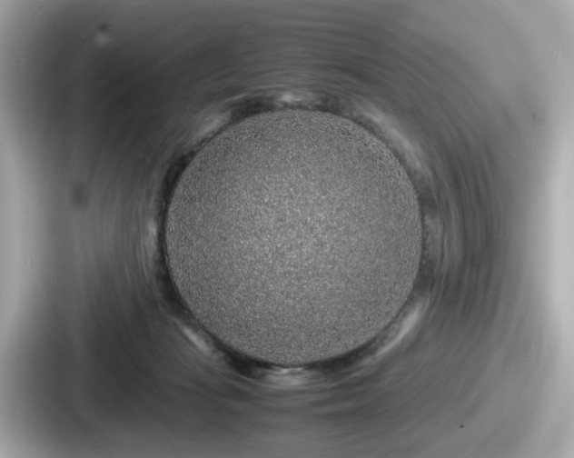 X0000087640269200705101053