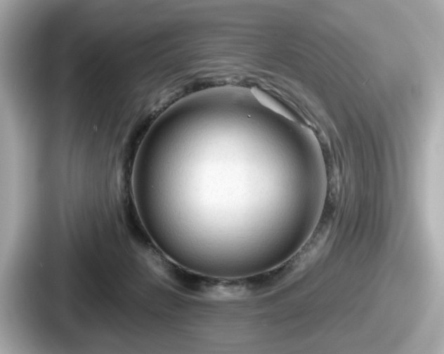 X0000087640270200705101053