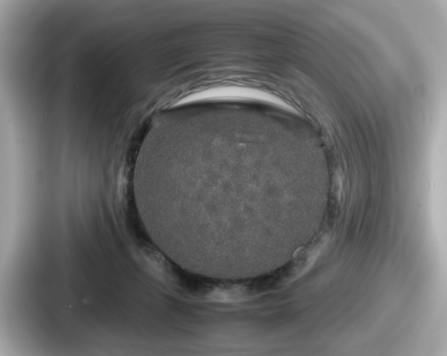 X0000087640271200705101053