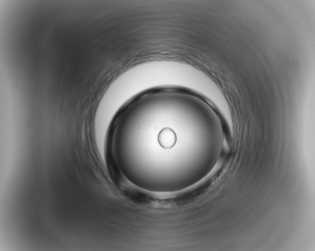 X0000087640272200705101053