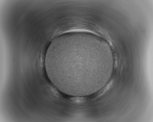 X0000087640273200705101053