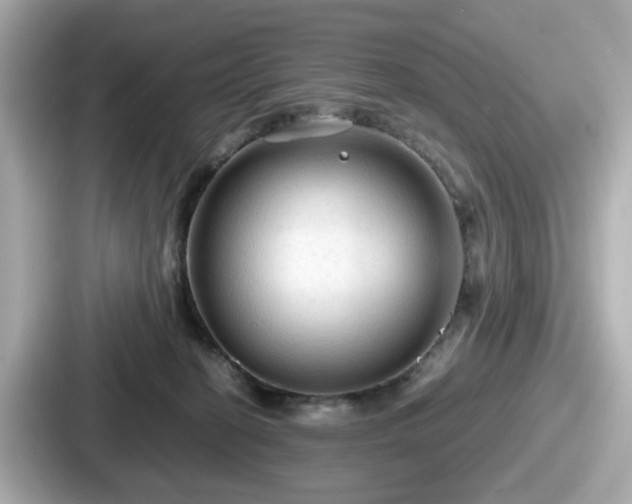 X0000087640274200705101053