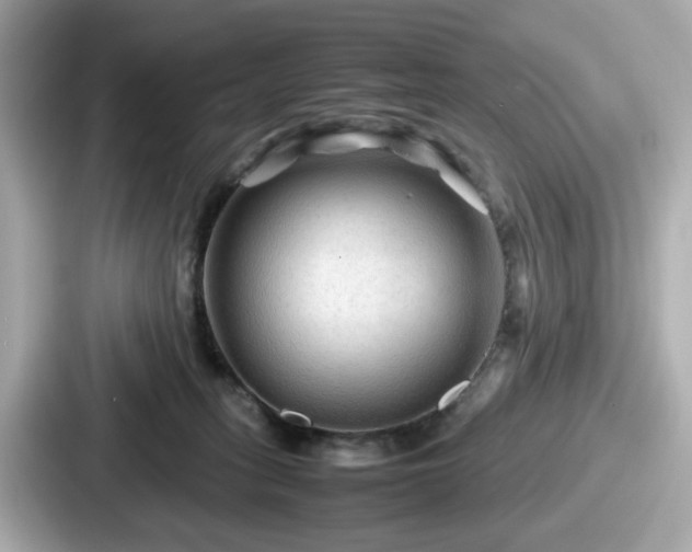 X0000087640275200705101053