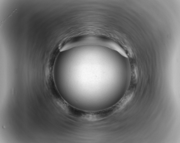 X0000087640276200705101053