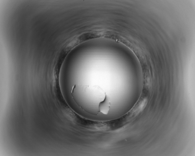 X0000087640279200705101053