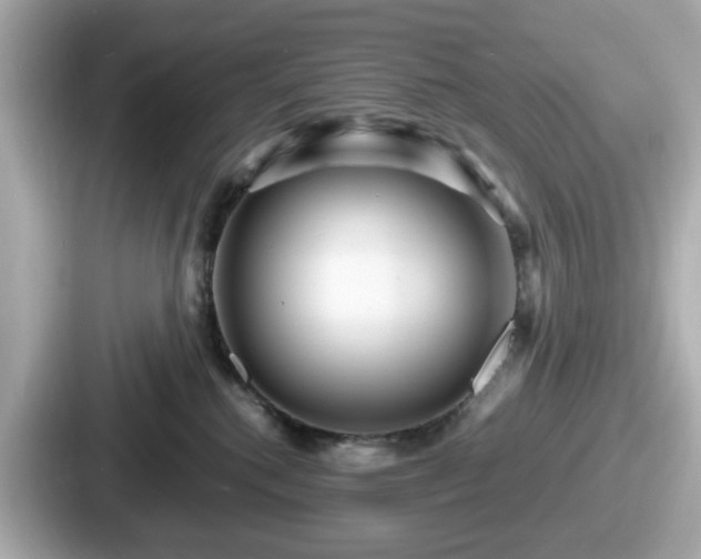 X0000087640280200705101053