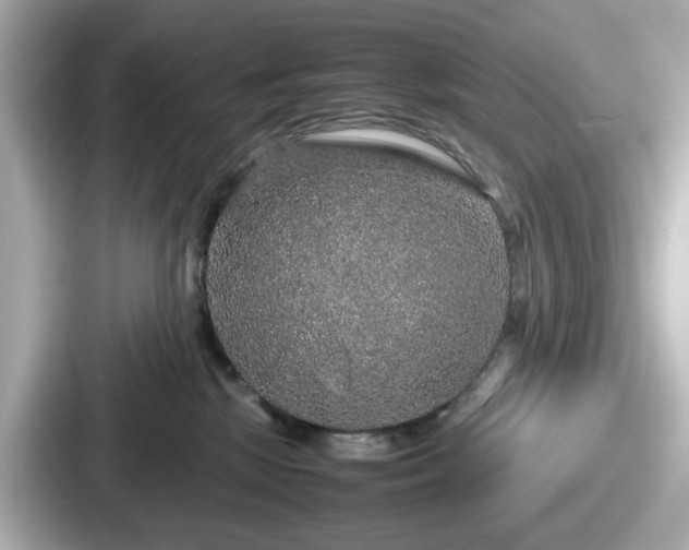 X0000087640281200705101053