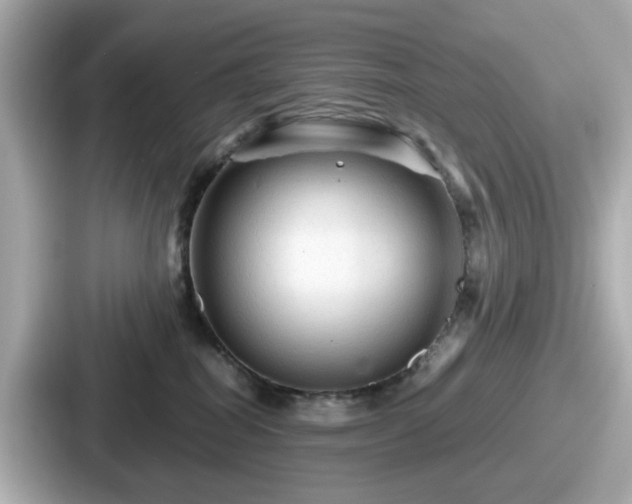 X0000087640282200705101053