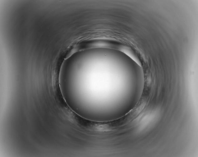 X0000087640283200705101054