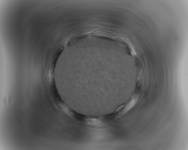 X0000087640285200705101054