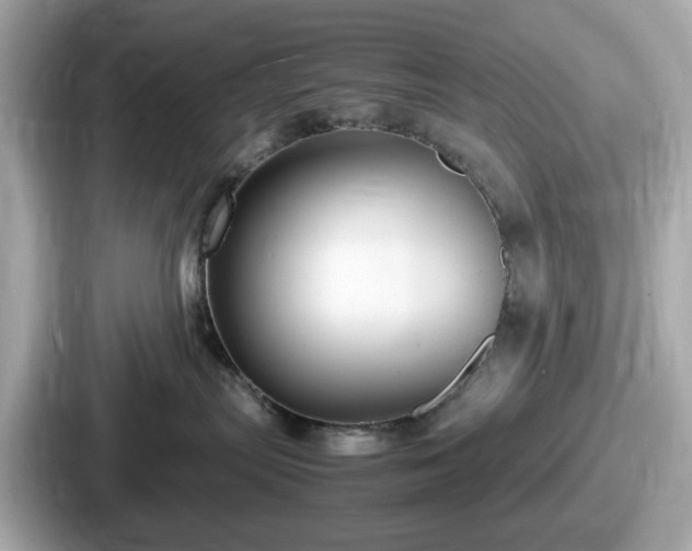 X0000087640287200705101054