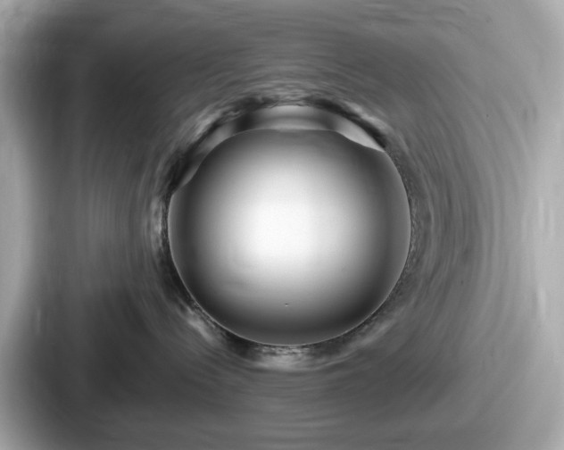 X0000087640288200705101054