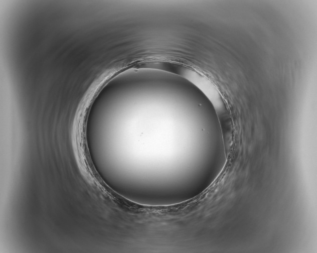 X0000087640289200705101053