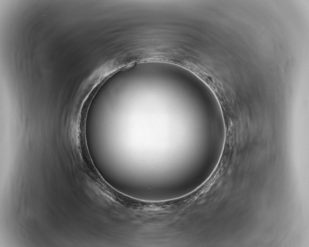 X0000087640290200705101053