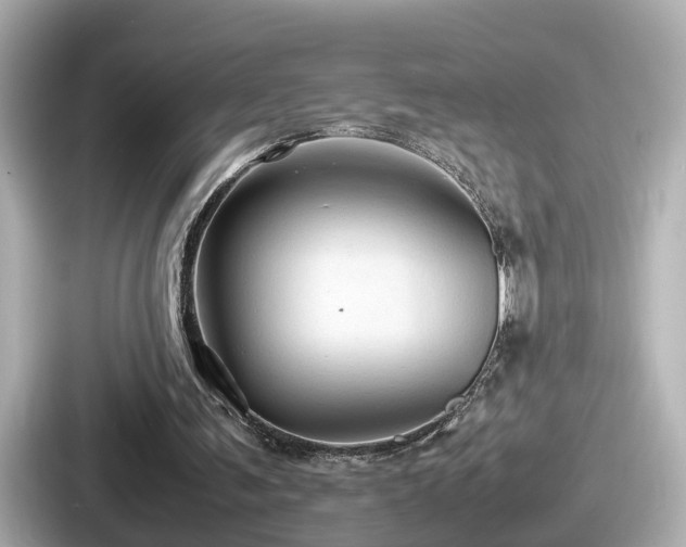 X0000087640291200705101053