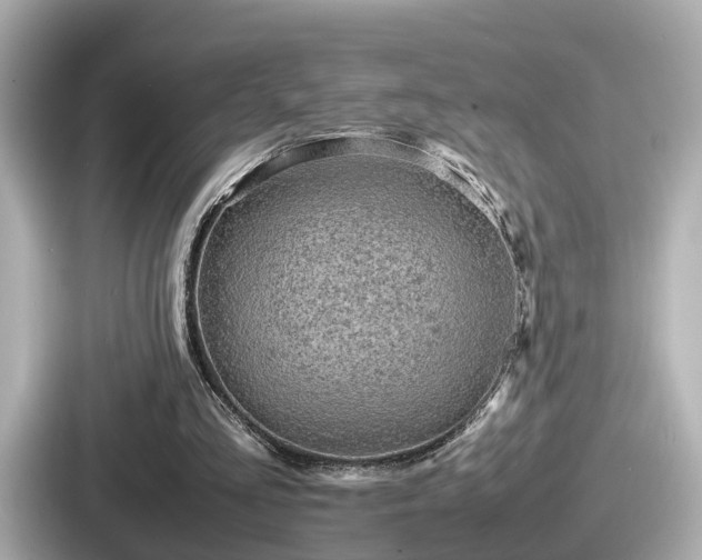 X0000087640293200705101053