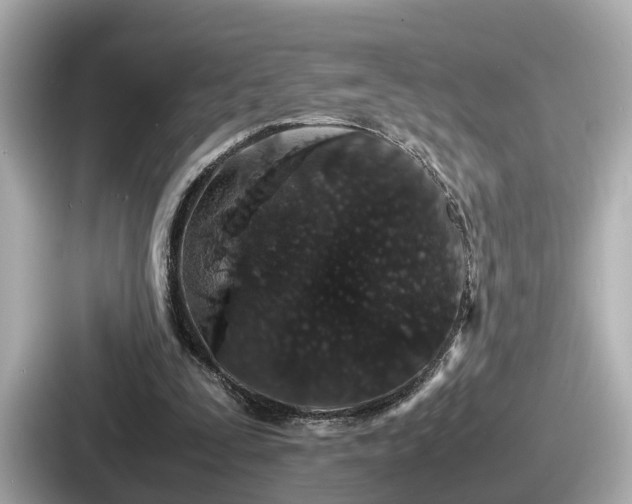 X0000087640295200705101053