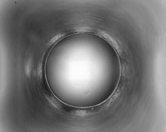 X0000087640298200705101053