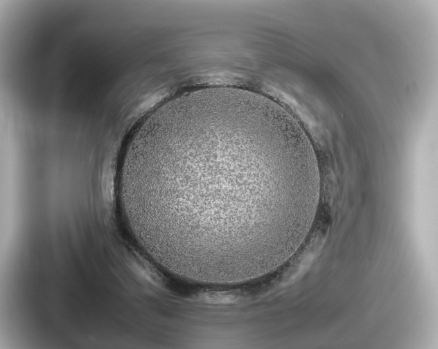 X0000087640299200705101053