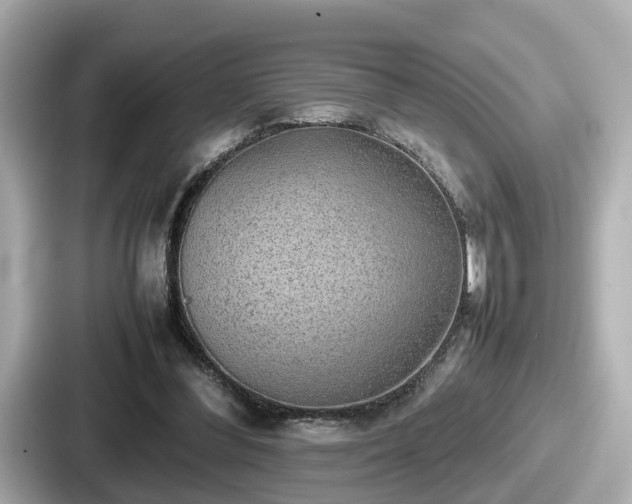 X0000087640300200705101053