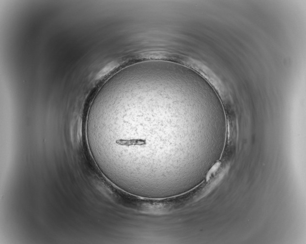 X0000087640301200705101053