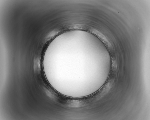 X0000087640302200705101053