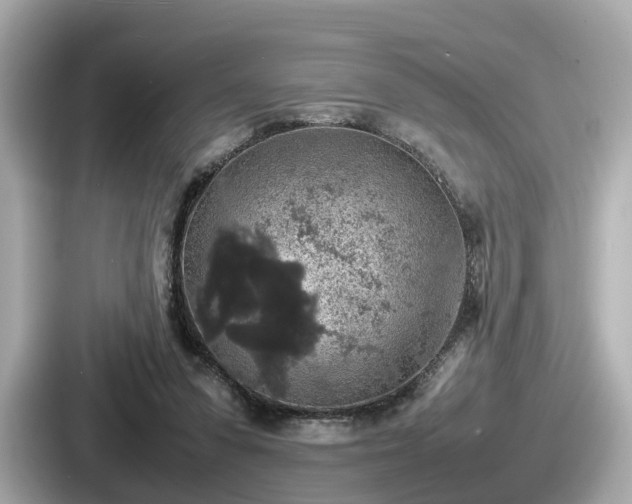 X0000087640303200705101053