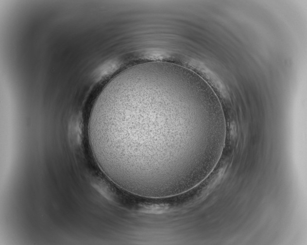 X0000087640304200705101053