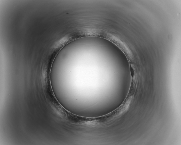 X0000087640306200705101053