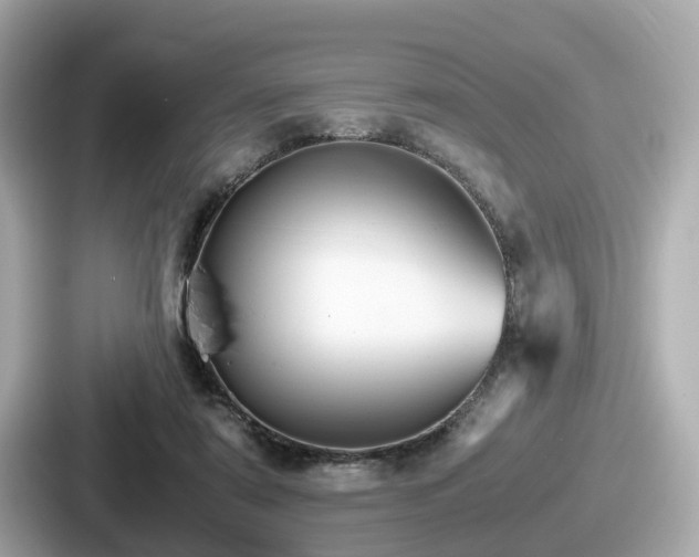 X0000087640307200705101053