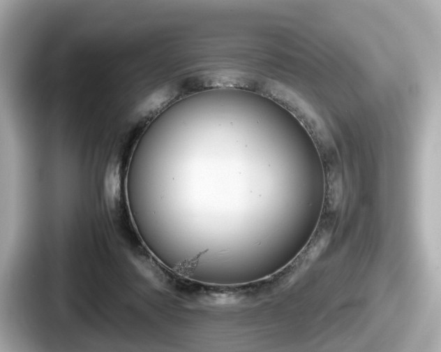 X0000087640310200705101053