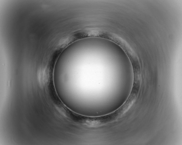 X0000087640311200705101053