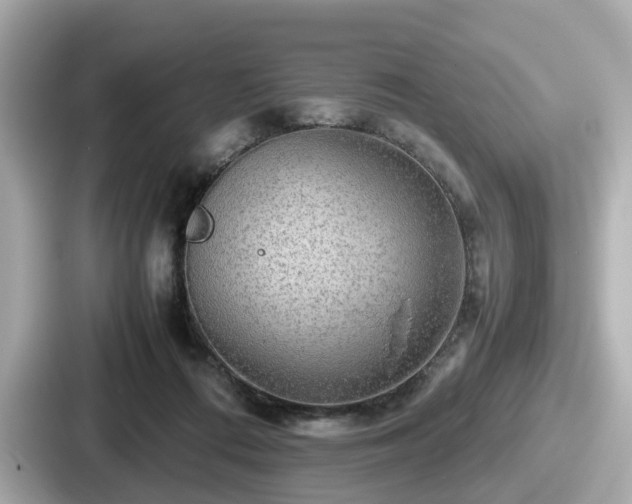 X0000087640312200705101053