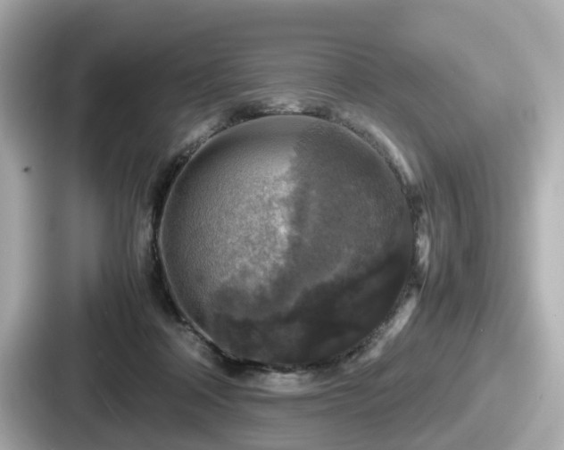 X0000087640314200705101053