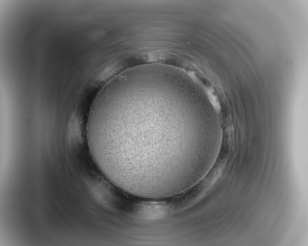 X0000087640316200705101053