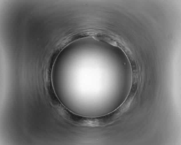 X0000087640317200705101053