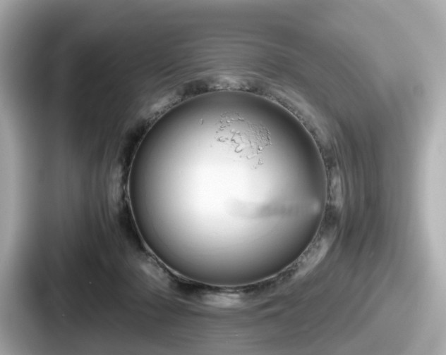 X0000087640318200705101053