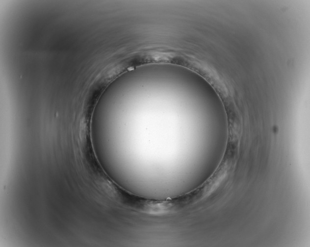 X0000087640321200705101053