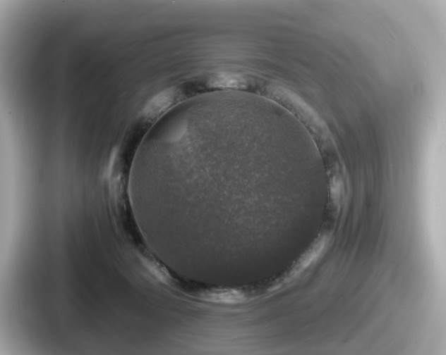 X0000087640322200705101053