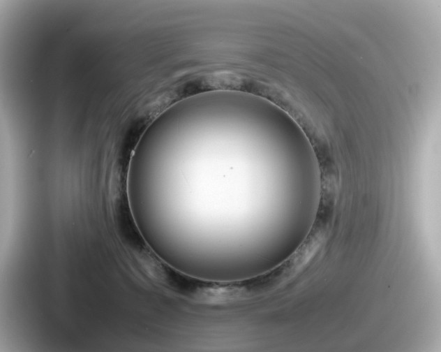 X0000087640323200705101053