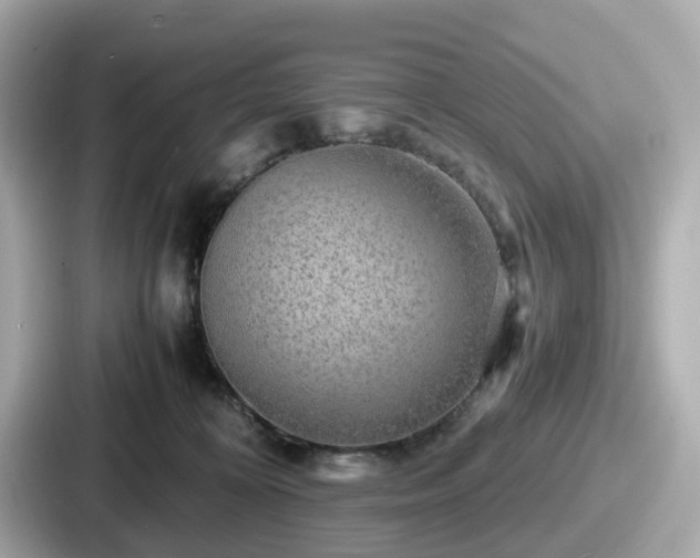 X0000087640324200705101052