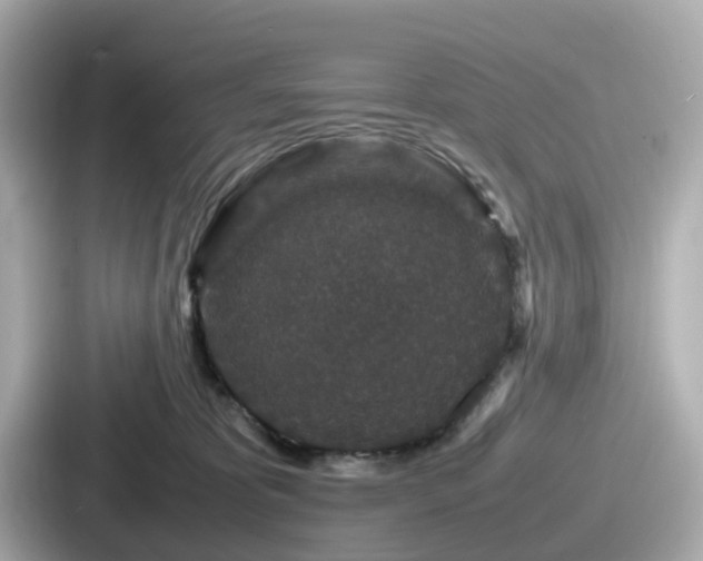 X0000087640325200705101052