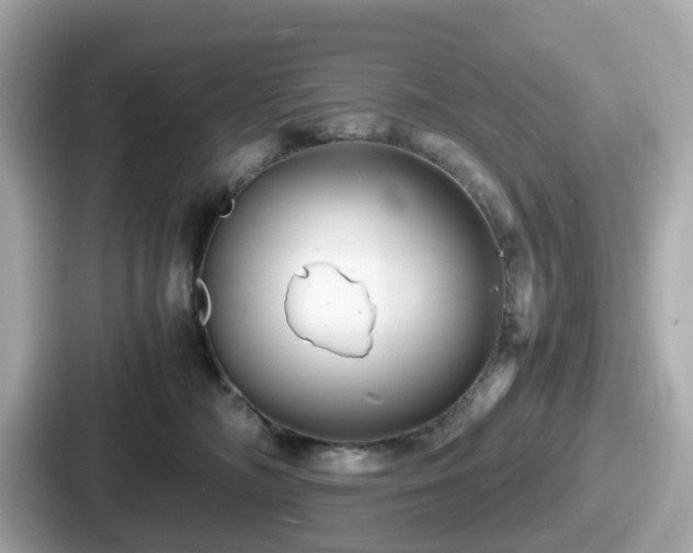 X0000087640326200705101052