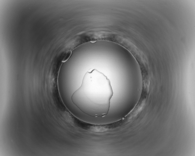 X0000087640327200705101052