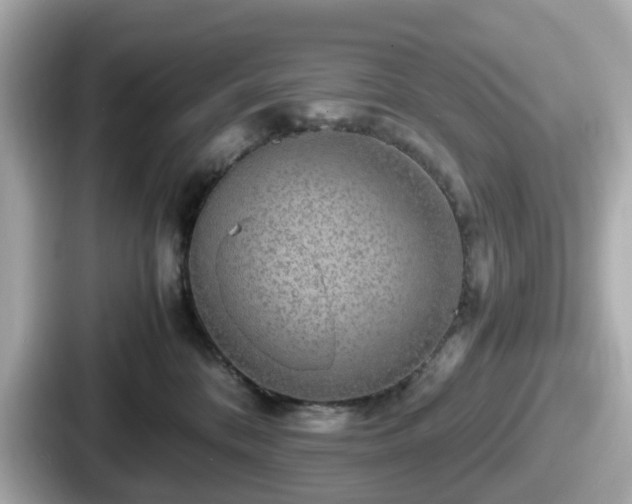 X0000087640328200705101052