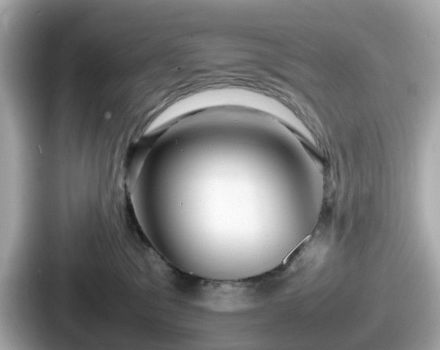 X0000087640329200705101052