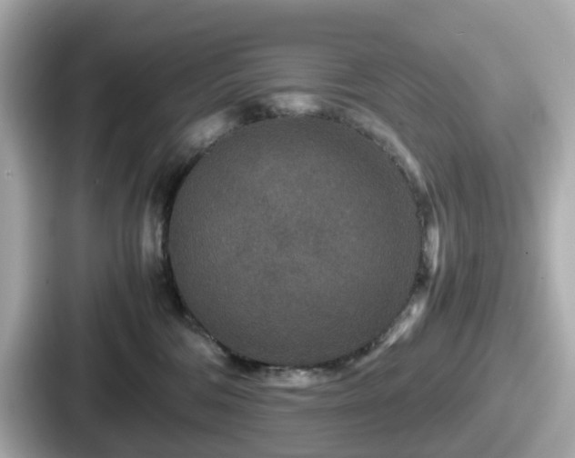 X0000087640330200705101052